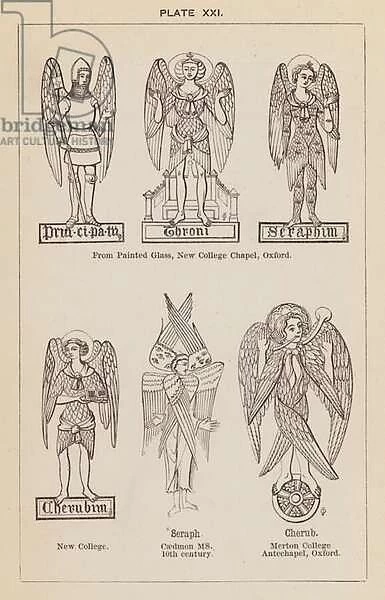 Principalities; Thrones; Seraphs; Cherubs; Seraph; Cherub (engraving)