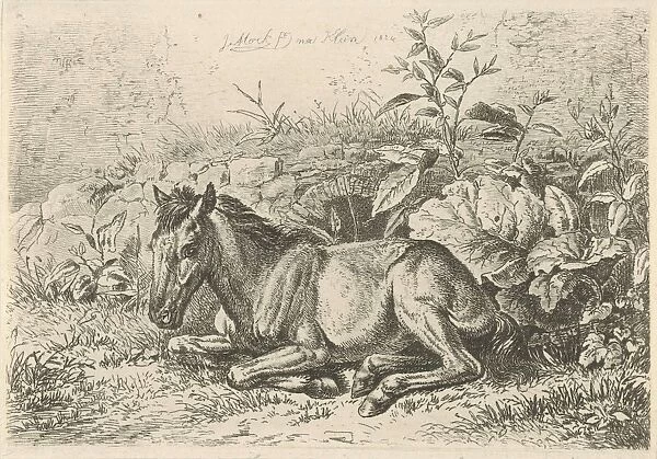 Lying horse for some plants, Johannes Mock, 1824
