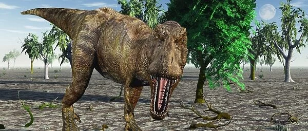 Confrontation with a carnivorous Tyrannosaurus rex
