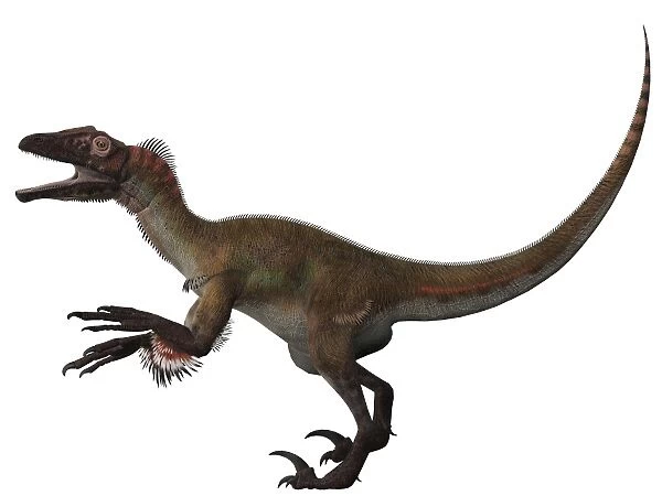 Utahraptor, a carnivorous dinosaur from the Cretaceous Period