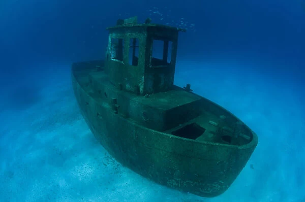 Wreck of tugboat Blue Plunder, Nassau, Bahamas. One year after sinking