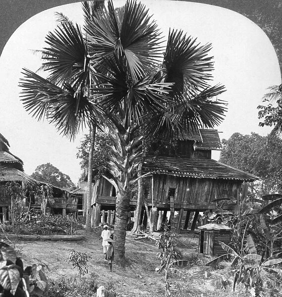 Native house built on piles, Bhamo, Burma, 1908. Artist: Stereo Travel Co