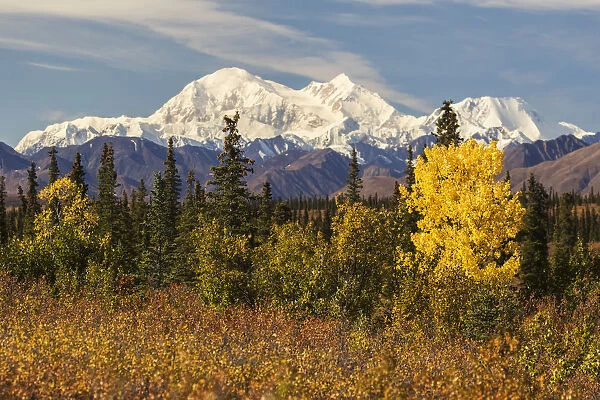 Denali, Viewed From South Of Cantwell, From The Parks Highway In Interior Alaska; Alaska, United States Of America