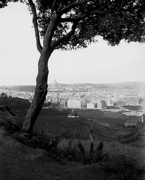 View of Rome from Monte Mario: the palaces of the Parioli district, in the background the dome of St. Peter's Basilica
