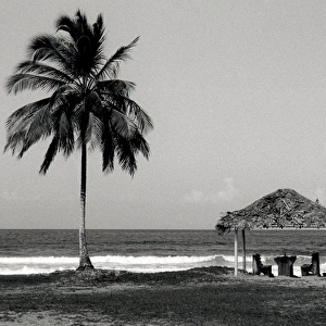 Beach scene in Trinidad, West Indies