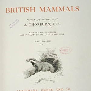 British Mammals Title Page