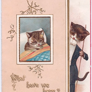 Two cats on a Christmas card