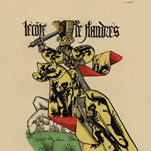 Count of Flanders, Comte de Flandre