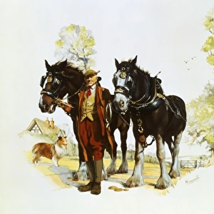 Farmer with a pair of shire horses