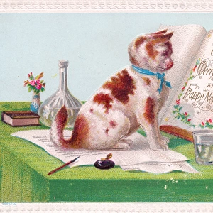 Ginger and white cat on a Christmas card
