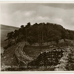Hadrians Wall - near Houseteads Wood