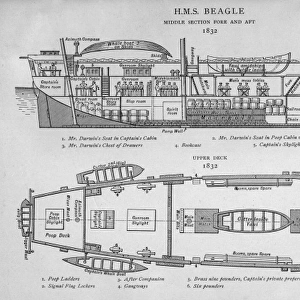 Hms Beagle / Darwins Ship