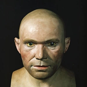 Homo sapiens, Cro-Magnon man head