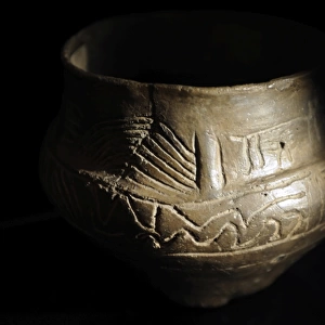 Metal Age. Cinerary urn. 700-500 BC. Museum of Denmark. Cope