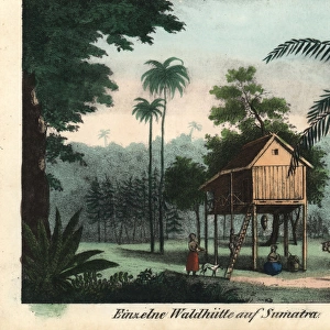 Raised wooden house in tropical jungle, Sumatra
