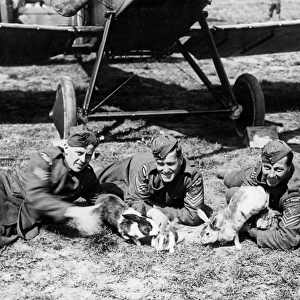RFC men with pet rabbits, Western Front, France, WW1
