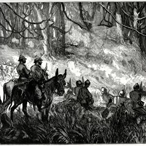 A Skirmish in the Forest, Third Anglo-Ashanti War or First Ashanti Expedition (1873-1874