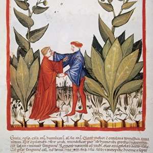 Tacuinum Sanitatis. Late XIV century. Men greeting next to a