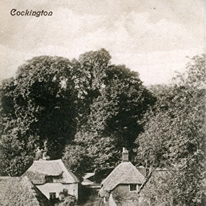 The Village, Cockington, Devon