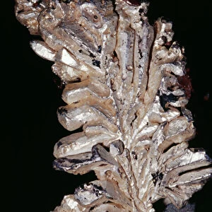 Silver (Native Element) Ag Quincy Mine, Hancock, Michigan