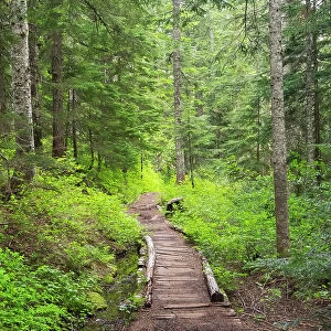 Washington State, Central Cascades, Trail to Pratt Ridge Date: 24-06-2020
