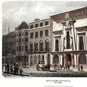 1816 Bullocks Museum curios and fossils