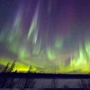 Aurora borealis C013 / 9488