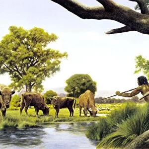 Homo heidelbergensis hunting, artwork C013 / 9572
