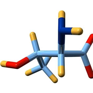 Threonine, molecular model
