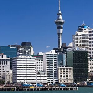 Auckland Sky Tower and city skyline, North Island, New Zealand, Pacific