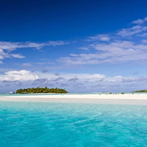 Coconut palm trees line the beach on One Foot Island, Aitutaki, Cook Islands, South Pacific Islands