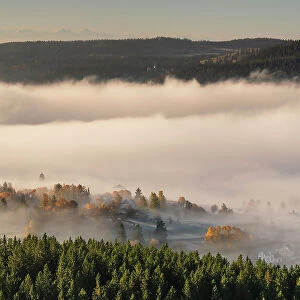 Early morning fog over Schluchsee Lake, Southern Black Forest, Baden-Wurttemberg, Germany