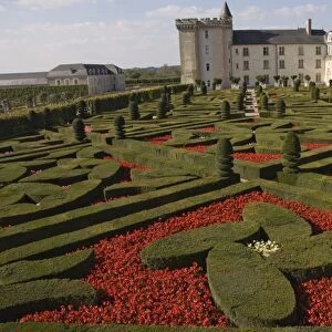 Part of the extensive flower and vegetable gardens, Chateau de Villandry