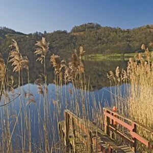Lake Grasmere, Lake District National Park, Cumbria, England, United Kingdom, Europe