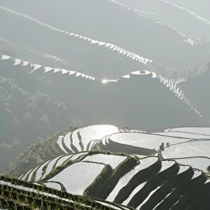 Longsheng terraced ricefields, Guangxi Province, China, Asia