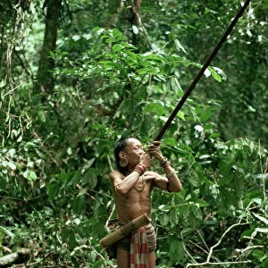 Member of the Penan tribe with blowpipe