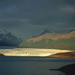 The Perito Moreno Glacier, rare in that it is advancing rather than retreating