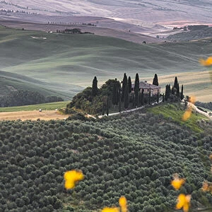 Podere belvedere hill at sunrise, Val d Orcia, UNESCO World Heritage Site, Tuscany, Italy, Europe