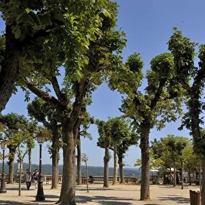 Tree lined promenade area in the Bastide town of Domme, one of Les Plus Beaux Villages de France