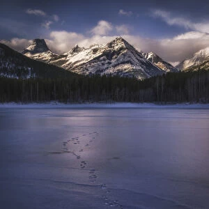 Winter landscape of the Canadian Rockies at Wedge Pond, tracks of wildlife on frozen lake