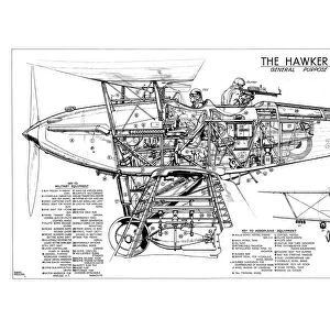 Hawker Hardy Cutaway Drawing