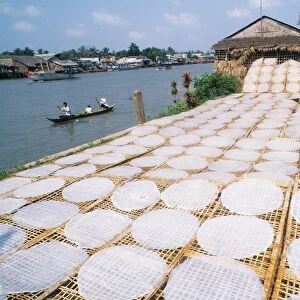 Drying rice noodles in the sun beside the Mekong River in Sa Dec