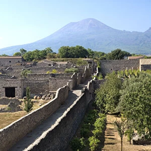 View over the eastern section of the ruined city with Vesuvius in the background