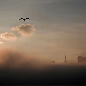 A seagull flies above the fog-shrouded skyline of New York City