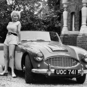 1957 Austin Healey 100-6 1957 Austin Healey 100-6