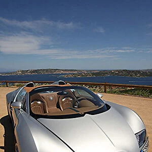 Bugatti Veyron Grand Sport 2009 silver