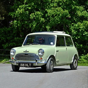 Mini Coopers 1964