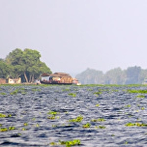 Asia, India, Kerala (Backwaters). Houseboats on the Kerala Backwaters
