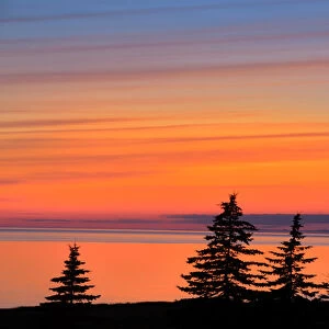 Canada, Gulf of St. Lawrence, West Cape. Trees silhouetted at dusk on Prince Edward Island