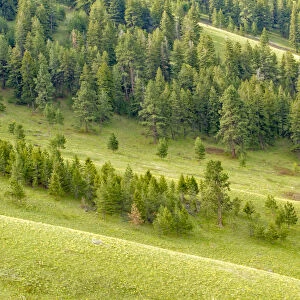 National bison Range, Montana, USA. Palouse Prairie grasslands on steep hills